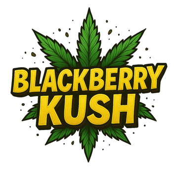 PT Blackberry Kush 1g Indica Preroll