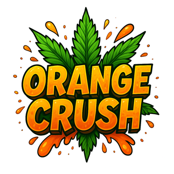 PT Orange Crush 1g Sativa Preroll
