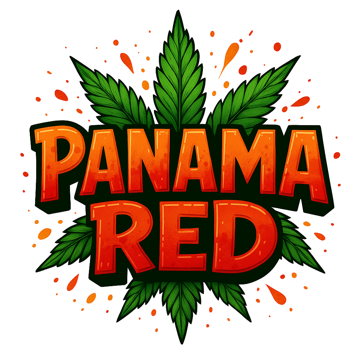 PT Panama Red 1g Sativa Preroll