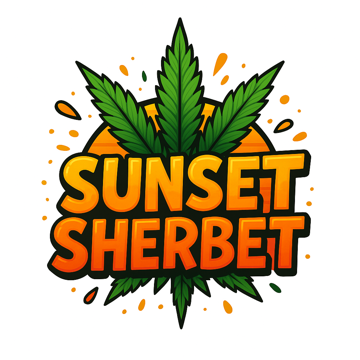 PT Sunset Sherbet 1g Hybrid Preroll