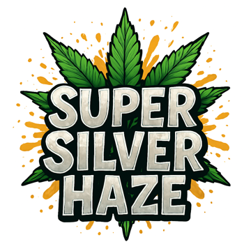 PT Super Silver Haze 1g Sativa Preroll