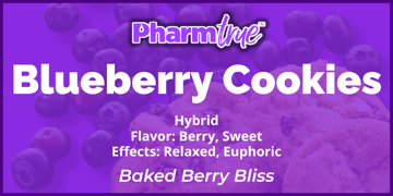 PT Disp Blueberry Cookies 2g
