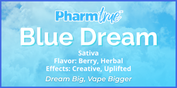 PT Disp Blue Dream 2g