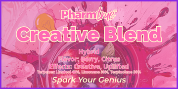 PT Disp Creative Blend 2g