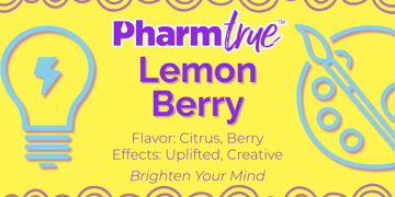 PT Disp Lemon Berry 2g