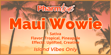 PT Disp Maui Wowie 2g